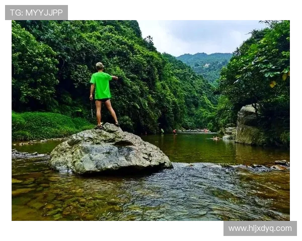 从惊险一跃到完美入水探秘跳水运动背后的力量与艺术