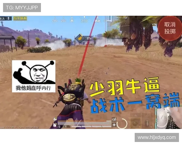 和平精英战术解析:深入剖析IG战队的进攻策略与团队配合